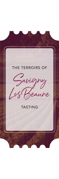 The Terroirs of Savigny Les Beaune Tasting
